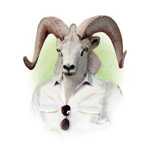 Meet your Posher, Nick